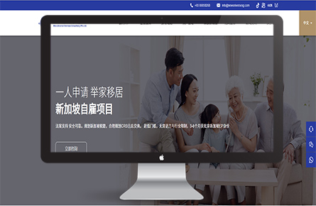 品牌網站案例-新加坡新大宇海外咨詢